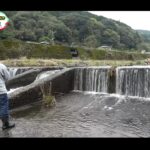 【画像】小型ルアーで雑魚を狙う「チャビング」！　増水で釣れなくても沢ガニ探しに大満足の川遊び 〜 画像1