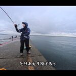 【画像】直江津港「第3東防波堤」で巨大アジ狙い…初カゴ釣りは大苦戦！　最後の1投で40センチの大サバ 〜 画像1