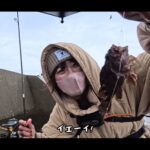 【画像】直江津港「第3東防波堤」で巨大アジ狙い…初カゴ釣りは大苦戦！　最後の1投で40センチの大サバ 〜 画像1