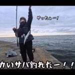 【画像】直江津港「第3東防波堤」で巨大アジ狙い…初カゴ釣りは大苦戦！　最後の1投で40センチの大サバ 〜 画像1