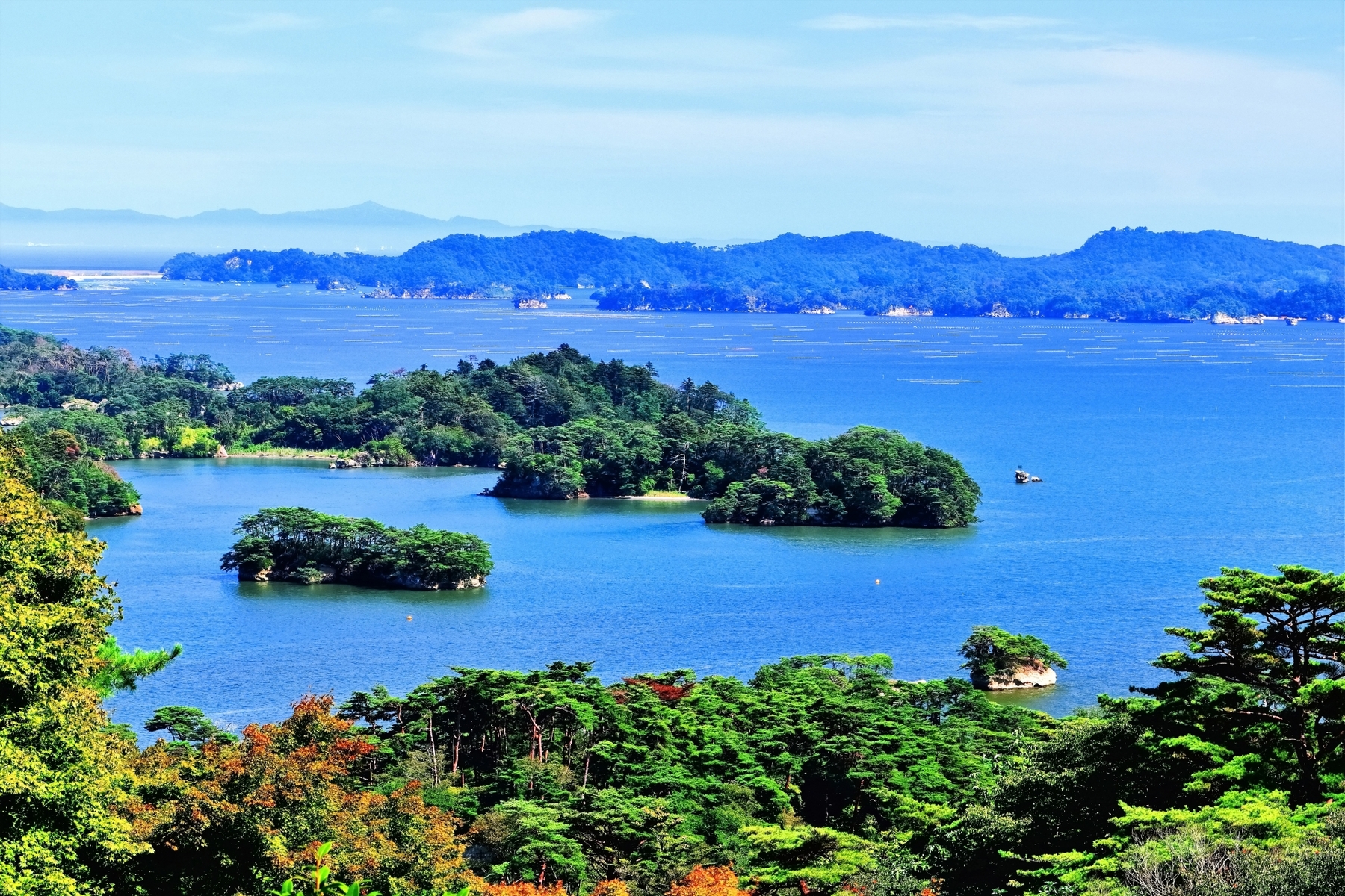 宮城県の松島