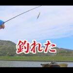 【画像】琵琶湖で「一番美味しい」ホンモロコを釣り「405段の石段」で安土城跡を巡る、50代にはちょっとキツイ満喫旅 〜 画像1