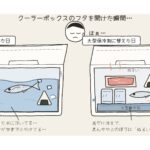 【画像】クーラーボックスの「水浸し問題」を解決！　氷のように流し込めるアイスキューブ型保冷剤 〜 画像1