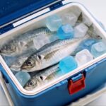 【画像】クーラーボックスの「水浸し問題」を解決！　氷のように流し込めるアイスキューブ型保冷剤 〜 画像1