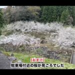【画像】初級者向けの「富山・城ヶ平山」周回へ！　さばいどる・かほなんが掬った「ホタルイカ」で絶景山ごはん 〜 画像1