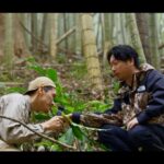 【画像】野草判定アプリは3割間違える！ ハーブ王子が警鐘を鳴らす「身近な野草で作るキャンプ飯」の危険性 〜 画像1