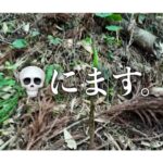 【画像】野草判定アプリは3割間違える！ ハーブ王子が警鐘を鳴らす「身近な野草で作るキャンプ飯」の危険性 〜 画像1