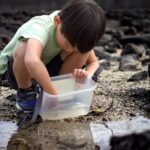 【画像】人混みを避けてリラックス！　透明な海と魚たちに癒されるプライベートビーチの魅力 〜 画像1