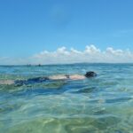 【画像】人混みを避けてリラックス！　透明な海と魚たちに癒されるプライベートビーチの魅力 〜 画像1