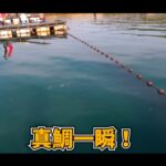 【画像】相場の半額以下で本当に真鯛が釣れた！　福井の激安釣り堀「シーパーク丹生」を潜入調査 〜 画像1