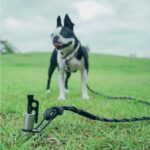 【画像】愛犬とのキャンプ、つなぐのは「点」か「ライン」か？　MIGRATRAILが新作ギア4種を発売 〜 画像1
