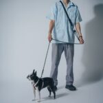 【画像】愛犬とのキャンプ、つなぐのは「点」か「ライン」か？　MIGRATRAILが新作ギア4種を発売 〜 画像1