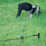 【画像】愛犬とのキャンプ、つなぐのは「点」か「ライン」か？　MIGRATRAILが新作ギア4種を発売 〜 画像1