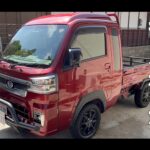 【画像】荷物運びの軽トラを女性ひとりで「車中泊仕様」に！　50kg以下の自作シェル搭載までの一部始終 〜 画像1