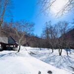 【画像】長野・北相木村「長者の森」が初の冬季営業！　標高1300mで雪景色と星空の冬キャンプ 〜 画像1