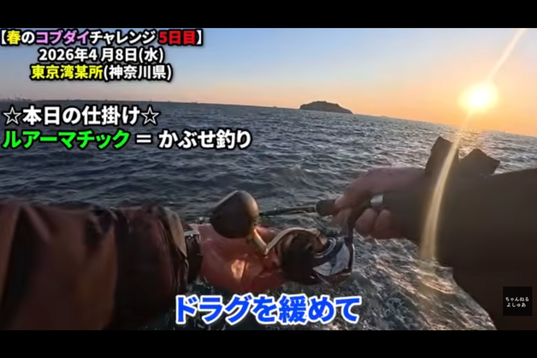 コブダイ釣り5日目はかぶせ釣りで夕方まで粘るも時間切れ