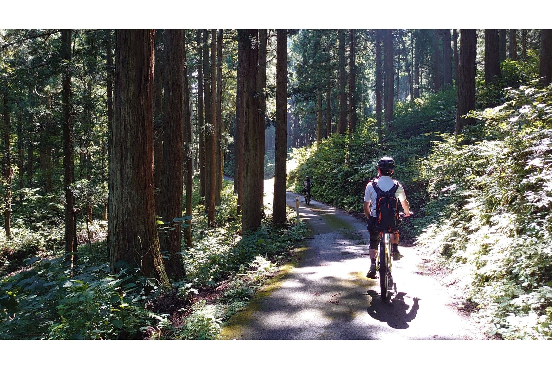 林道を駆け抜ける自転車