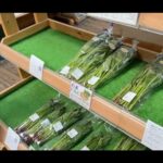 【画像】吹割の滝近くの足湯付きRVパークで車中泊　翌朝は「東洋のナイアガラ」の迫力を満喫 〜 画像1