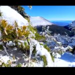 【画像】雪山ビギナーに「ほどよい」黒斑山　蛇骨岳まで往復5時間強“ガトーショコラ”な浅間山の絶景 〜 画像1