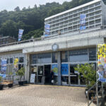 【画像】初島は「レモンの島」だった！　熱海から船で30分、首都圏から一番近い離島に60年越しの初上陸 〜 画像1