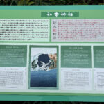 【画像】初島は「レモンの島」だった！　熱海から船で30分、首都圏から一番近い離島に60年越しの初上陸 〜 画像1