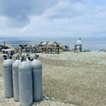 【画像】初島は「レモンの島」だった！　熱海から船で30分、首都圏から一番近い離島に60年越しの初上陸 〜 画像1